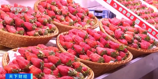 草莓价格“腰斩”！有的降至个位数